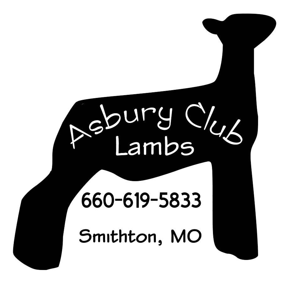 Asbury Club Lambs